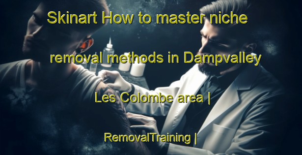 Skinart How to master niche removal methods in Dampvalley Les Colombe area | RemovalTraining | RemovalClasses | SkinartTraining-France